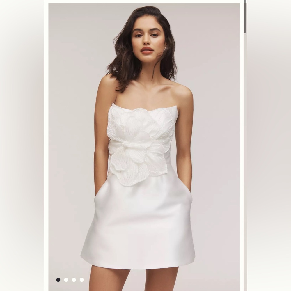 Watters Brie Floral Embellished Pearl Mini Dress